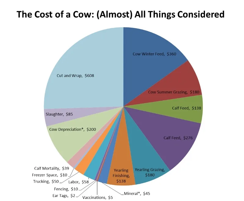 Whole Cow Purchasing Guide: Prices, Weights & Butchering Tips