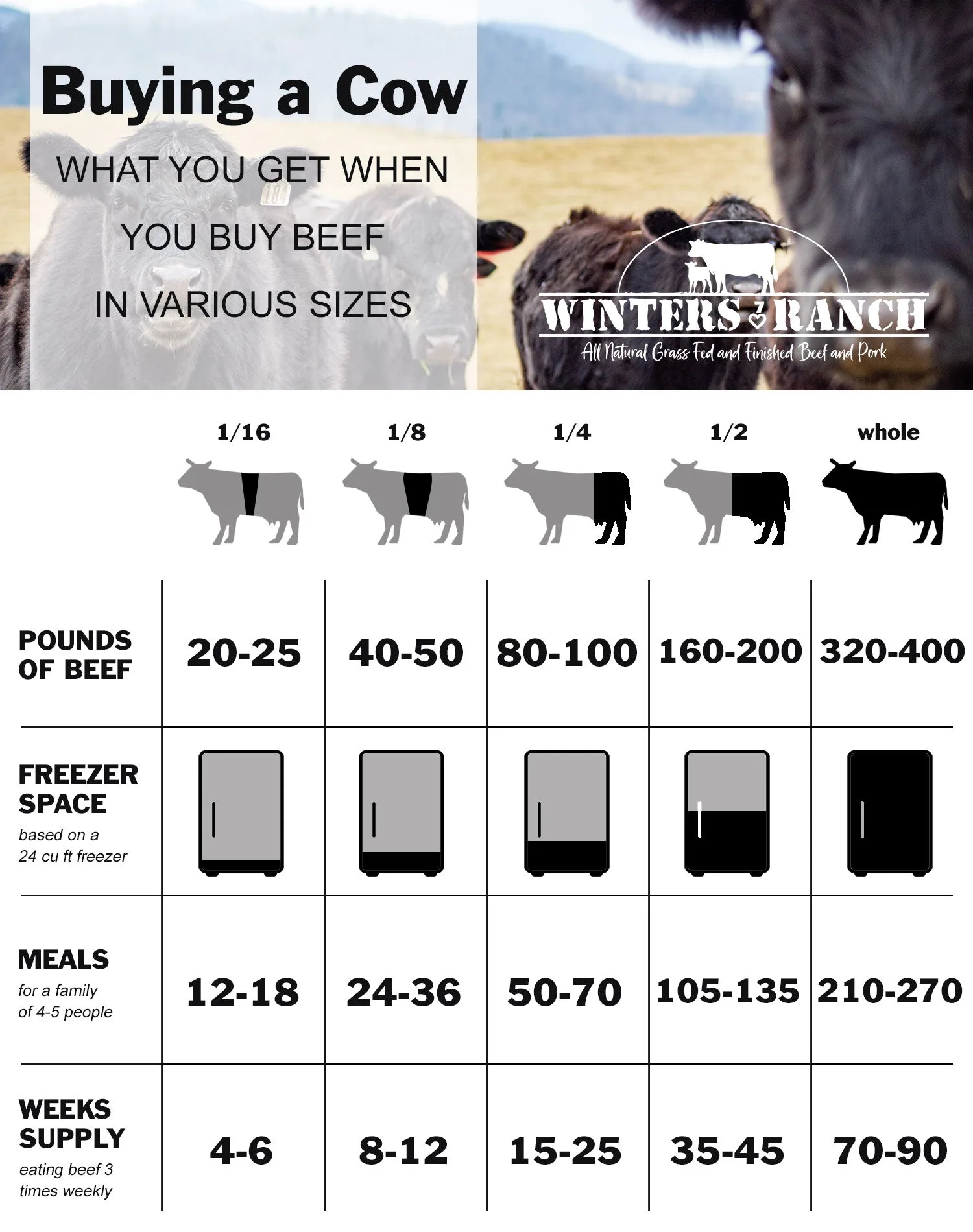Whole Cow Purchasing Guide: Prices, Weights & Butchering Tips
