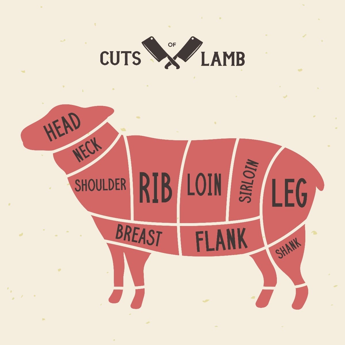 Shoulder or Leg? Lamb Cuts Demystified for Home Cooks - Cooking Techniques for Shoulder and Leg Cuts