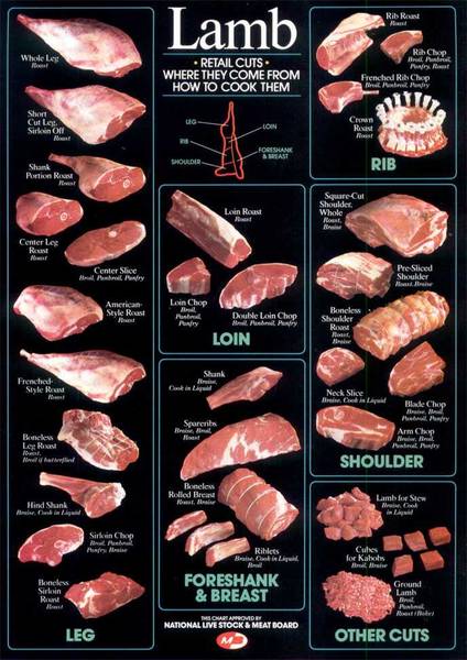 Shoulder or Leg? Lamb Cuts Demystified for Home Cooks - Understanding Lamb Cuts for Home Cooking